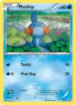 Mudkip - XY38/211 - XY Black Star Promos