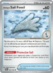 Antique Sail Fossil - 069/88 - Perfect Order